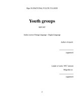 Referāts 'Youth Groups', 2.