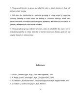 Referāts 'Youth Groups', 14.