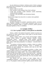 Diplomdarbs 'Garīgās vērtības kā resurss sociālā rehabilitētāja darbā ar sociālā riska ģimenē', 11.