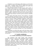 Diplomdarbs 'Garīgās vērtības kā resurss sociālā rehabilitētāja darbā ar sociālā riska ģimenē', 17.