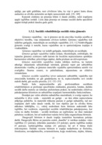 Diplomdarbs 'Garīgās vērtības kā resurss sociālā rehabilitētāja darbā ar sociālā riska ģimenē', 21.