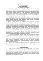 Diplomdarbs 'Garīgās vērtības kā resurss sociālā rehabilitētāja darbā ar sociālā riska ģimenē', 25.