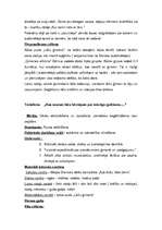 Prakses atskaite 'Prakses integrētā nedēļa "Kas mostas no saldā miega" - Lāči', 7.