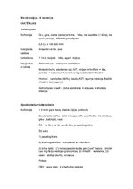 Konspekts 'Baktērijas, sēnes, hospitālas infekcijas', 1.