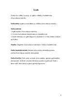 Referāts 'Siltumizolācijas materiāli', 5.