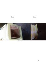 Referāts 'Siltumizolācijas materiāli', 31.