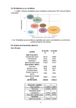 Referāts 'Uzņēmuma mārketinga stratēģijas izstrāde', 11.