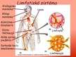 Prezentācija 'Prezentācija par asinsriti, limfriti', 25.