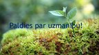 Prezentācija 'Vides un ekoloģijas problēmas Lavijā', 17.