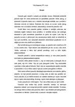 Referāts 'Pusaudzis', 1.