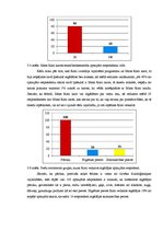 Referāts 'SIA "Rimi Latvia" attīstības stratēģiskie virzieni Rīgas pilsētā', 28.