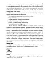 Konspekts 'Loģistika un tās lietošana uzņēmumos un ekonomiskajās sistēmās', 3.