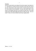 Prakses atskaite 'Prakse sākumskolā', 7.