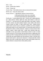 Prakses atskaite 'Prakse sākumskolā', 8.