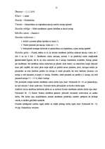 Prakses atskaite 'Prakse sākumskolā', 12.