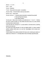 Prakses atskaite 'Prakse sākumskolā', 16.