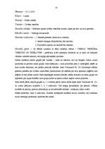 Prakses atskaite 'Prakse sākumskolā', 20.