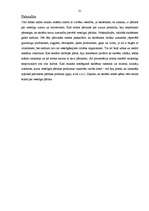 Prakses atskaite 'Prakse sākumskolā', 21.