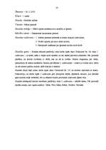 Prakses atskaite 'Prakse sākumskolā', 24.