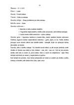 Prakses atskaite 'Prakse sākumskolā', 30.