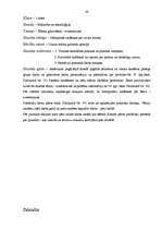 Prakses atskaite 'Prakse sākumskolā', 40.