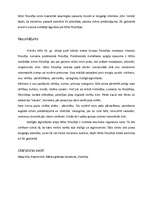 Referāts 'Mūsdienu filosofija - Fridrihs Nīče', 8.