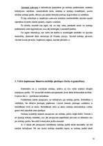 Referāts 'Valsts ieņēmumu dienesta funkcijas', 18.