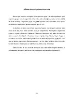 Referāts 'Upes ūdeņu kvalitāte un aizsardzība', 15.