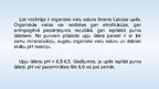 Referāts 'Upes ūdeņu kvalitāte un aizsardzība', 33.