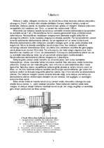 Referāts 'Balkoni, lodžijas, erkeri', 3.