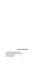 Referāts 'Balkoni, lodžijas, erkeri', 18.