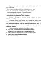 Referāts 'Mēbeļu plātņu ražošanas uzņēmums', 11.