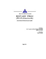 Referāts 'Bezvadu lokālie tīkli', 1.