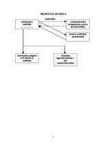 Referāts 'Zemnieku saimniecības darbības sfēras paplašināšana', 10.