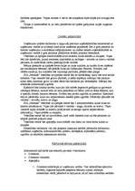 Biznesa plāns 'Veselības centrs "Neonate"', 6.