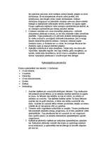 Biznesa plāns 'Veselības centrs "Neonate"', 7.