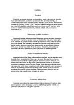 Biznesa plāns 'Veselības centrs "Neonate"', 10.