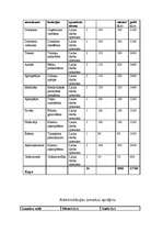 Biznesa plāns 'Veselības centrs "Neonate"', 14.