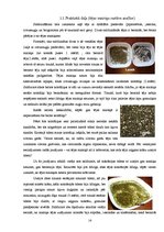 Referāts 'Tēja cilvēka dzīvē', 14.