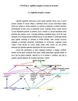 Referāts 'Izglītības iespējas Latvijā un ārzemēs', 7.