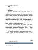 Referāts 'Izglītības iespējas Latvijā un ārzemēs', 8.