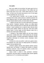 Referāts 'Izglītības iespējas Latvijā un ārzemēs', 16.