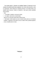 Referāts 'Izglītības iespējas Latvijā un ārzemēs', 40.