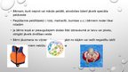 Prezentācija 'Bērnu drošība ūdenī', 4.