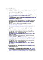 Referāts 'Latvija kā cilvēku tirdzniecības upuru tranzīta un mērķa valsts', 9.