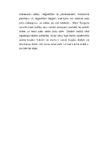 Eseja 'M.Rungulis "Frīda - frikadele"', 6.