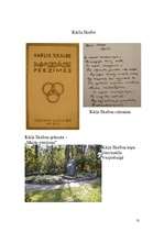 Referāts 'Kārlis Skalbe', 13.