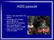Prezentācija '1.decembris AIDS diena', 8.