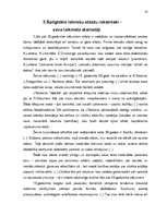 Referāts 'Stāsts kā latviešu tautas dzīves galvenais atainotājs', 14.