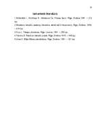 Referāts 'Stāsts kā latviešu tautas dzīves galvenais atainotājs', 20.